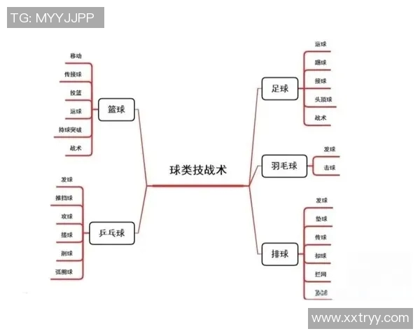 深圳篮球队反击战术深度分析与实战应用探讨